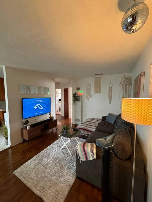 Boho Chic Loft Little Italy Walk Everywhere Apartment *