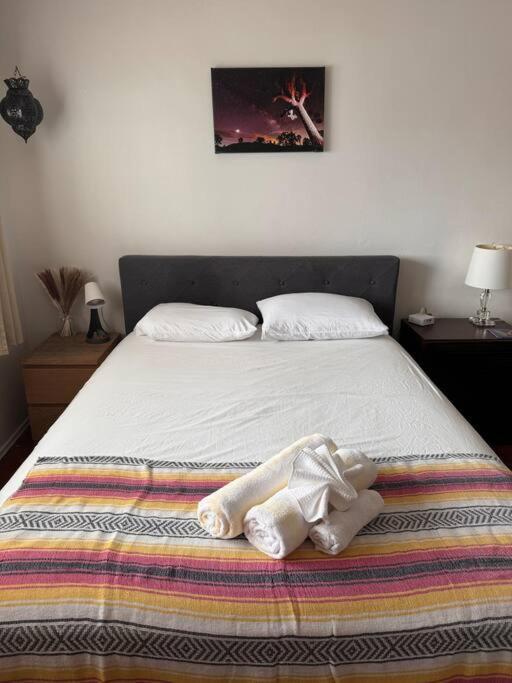 Boho Chic Loft Little Italy Walk Everywhere Apartment