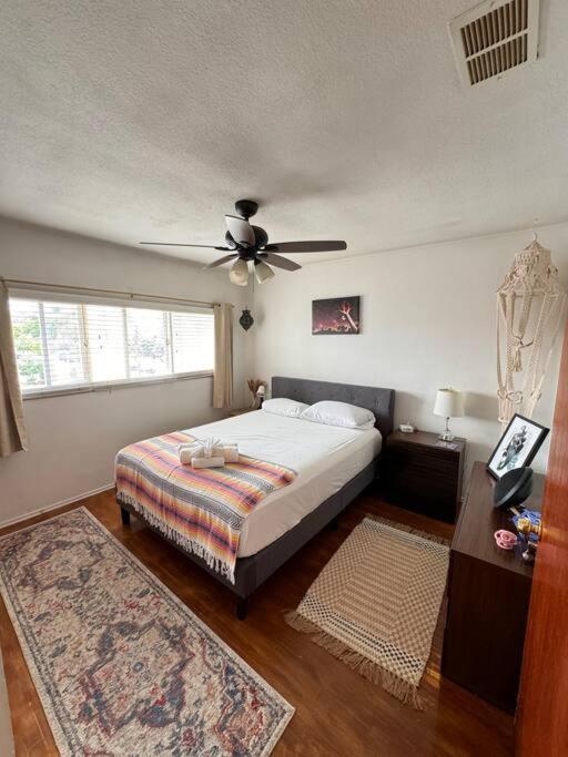 Boho Chic Loft Little Italy Walk Everywhere Apartment